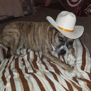 Meet your Posher, Fern